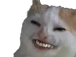 :chahi: