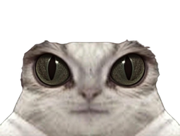 :Chat-Cru9:
