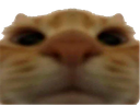:chat32:
