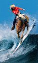 :cheval_surf: