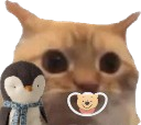 :chat_limite_bebe: