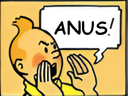:tintinanus: