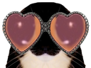 :chat_lunettes_coeur: