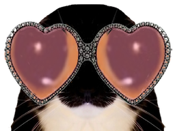 :chat_lunettes_coeur: