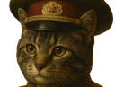 :artyomcat: