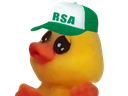 :Poussinrsa: