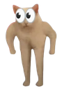 :WTFhuman_cat:
