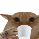 PetitChat