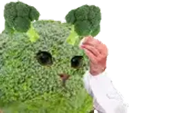 :Brocoli_sueur:
