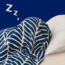 :Dodochatsouscouette: