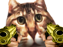 :chatgun: