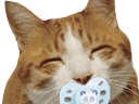 :chat_hap_tetine: