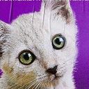 PartiAnimaliste