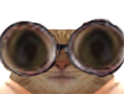 :chat_lunettes_gros_yeux:
