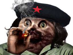 :cha_guevara: