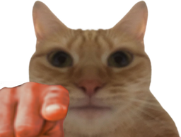 :chatdoigt: