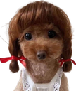 :doggo_fille: