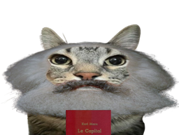:CS_Marx: