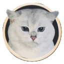 :Disney_chat: