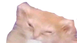 :Sticoeur: