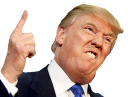 :Pump_de_Trump: