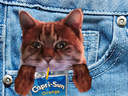 :czpcs:
