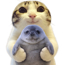 :chat_marrant_deter: