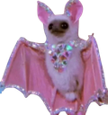 :Discobat: