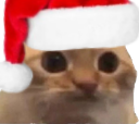 :chat_limite_noel: