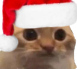 :chat_limite_noel: