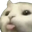 Photo de profil de LanceFoutre