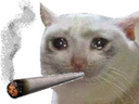 :chat_snif_joint: