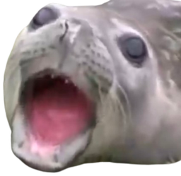 :Phoque_bouche_ouverte: