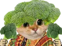 :Brocoli_mexicain: