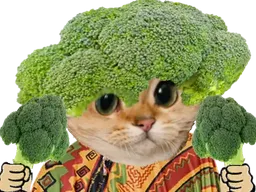 :Brocoli_mexicain: