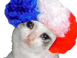 :chatriste_perruque: