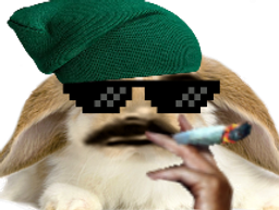 :Lapin_thug: