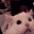 Photo de profil de SalePetiteP