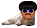 :risichat: