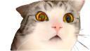 :chokbar_chat: