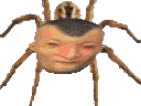 :ADZ: