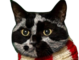 :Chat-Triss4: