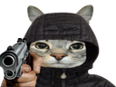 :CS_Flingue: