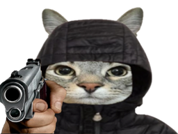:CS_Flingue: