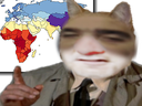:Fatiguechatcarte: