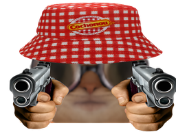 :ChaCochonouPistolet: