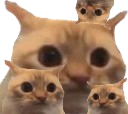 :chat_limite_x4: