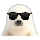 :phoquelunettes2: