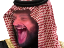 :hanouna_saoudien: