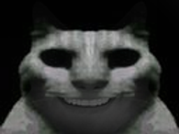 :chat_sombre_sourire: